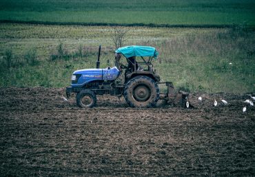 Agriculture in India 2025: From Grain to Gourmet